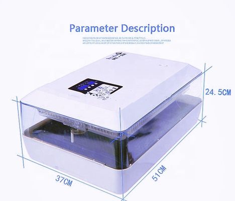 품질  Newest Type Fully Automatic Mini 60 Chicken Egg Incubator / High Quality Full Automatic 공장